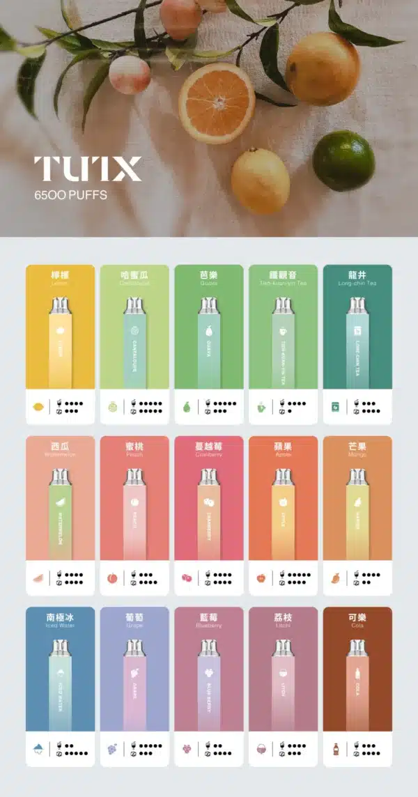 TUTX 拋棄式電子煙6500口